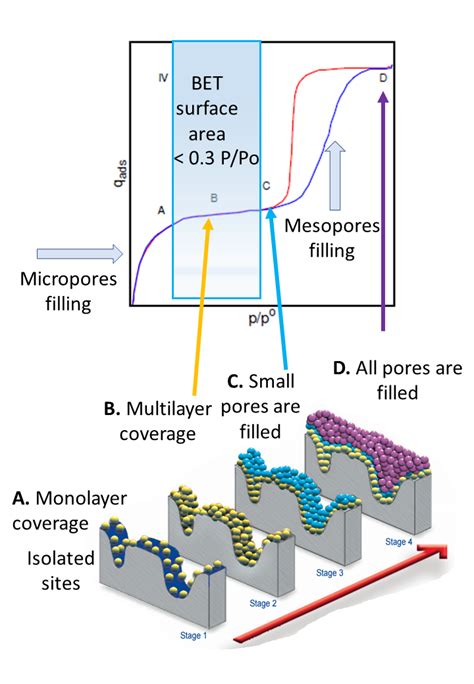 bet analysis instrument|Surface characterization: BET surface/specific surface .